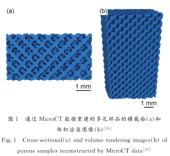 鈦合金在骨科植入領域的研究進展 鈦合金在骨科植入領域的研究進展