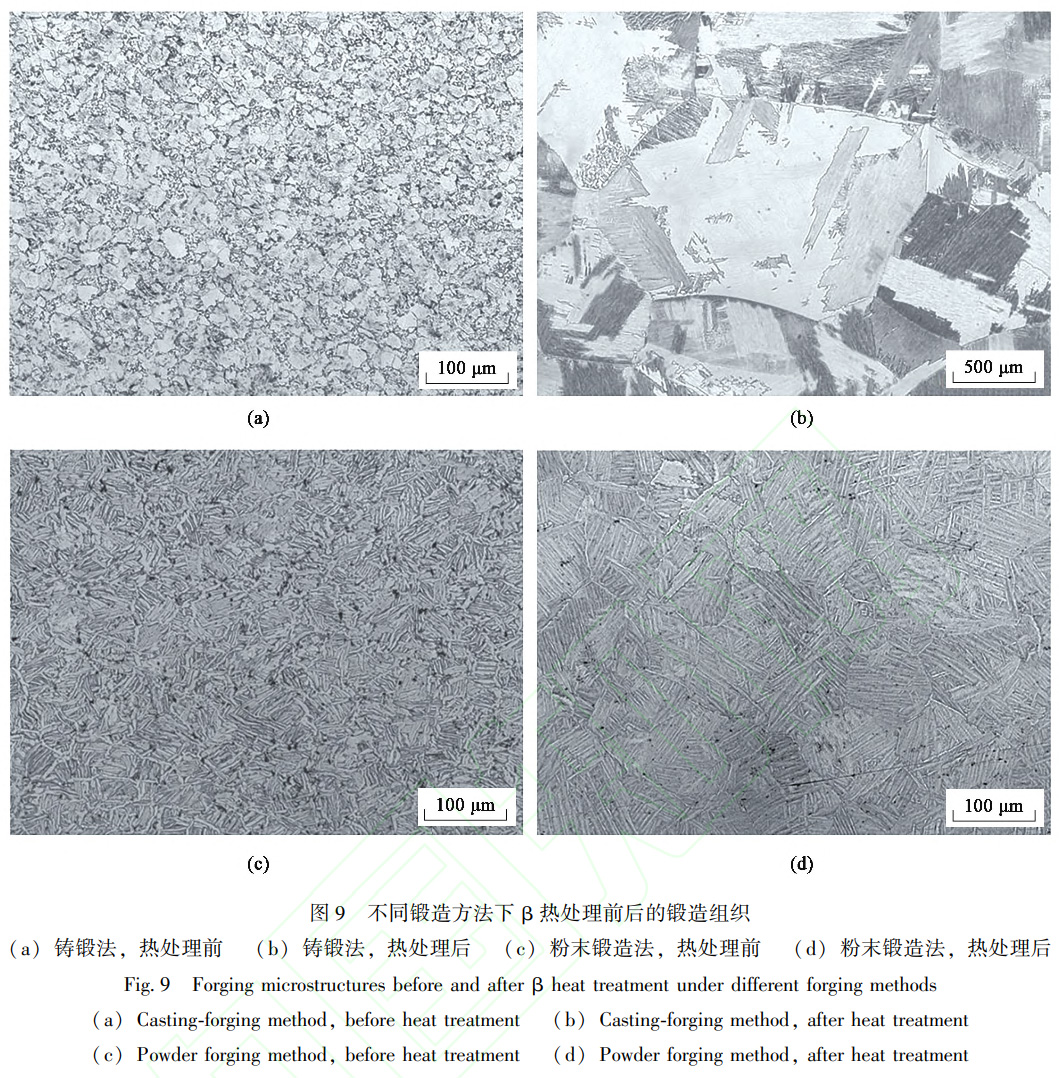 鈦合金粉末冶金β相區(qū)熱加工組織行為 鈦合金粉末冶金β相區(qū)熱加工組織行為
