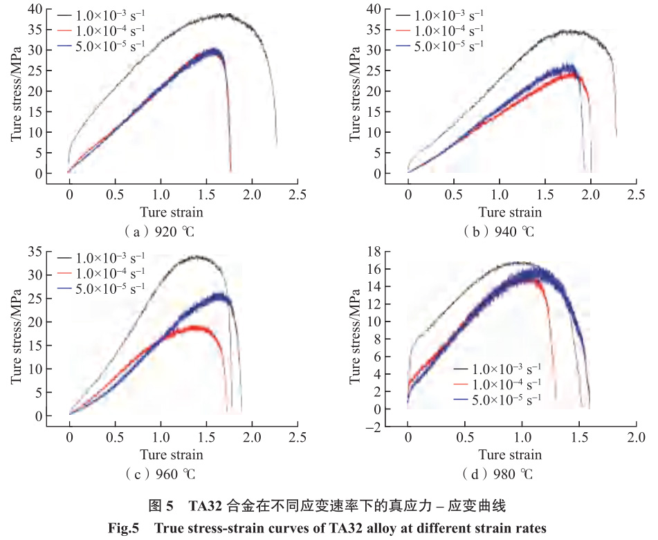 1694425512596784.jpg t5.jpg