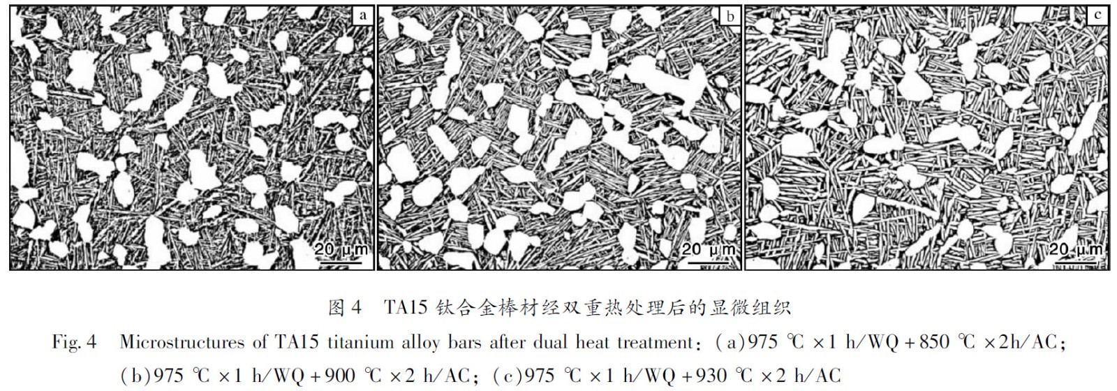 1695286864428651.jpg 1660484961160038.jpg