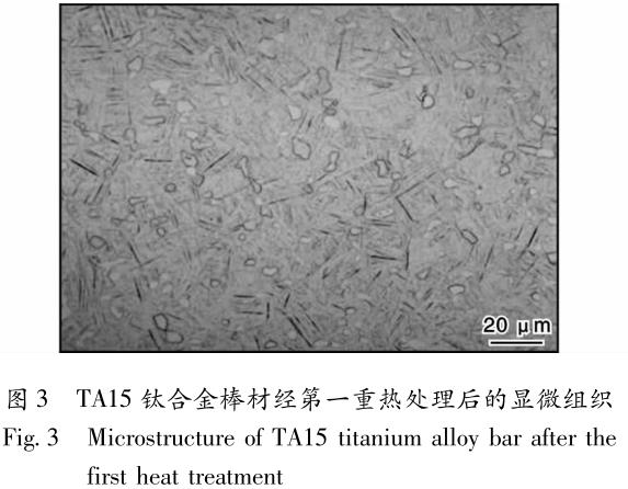 1695565472885789.jpg t3.jpg