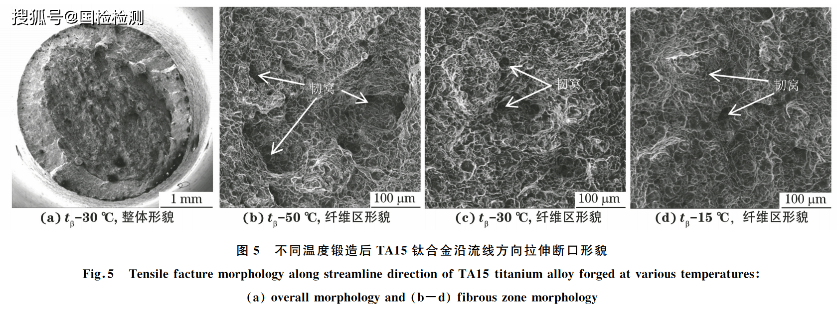 1695593918411592.png t5.png