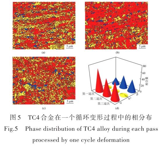 1696505485428812.jpg t5.jpg