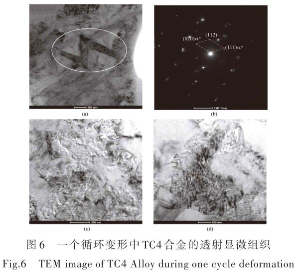 1696505496696925.jpg t6.jpg