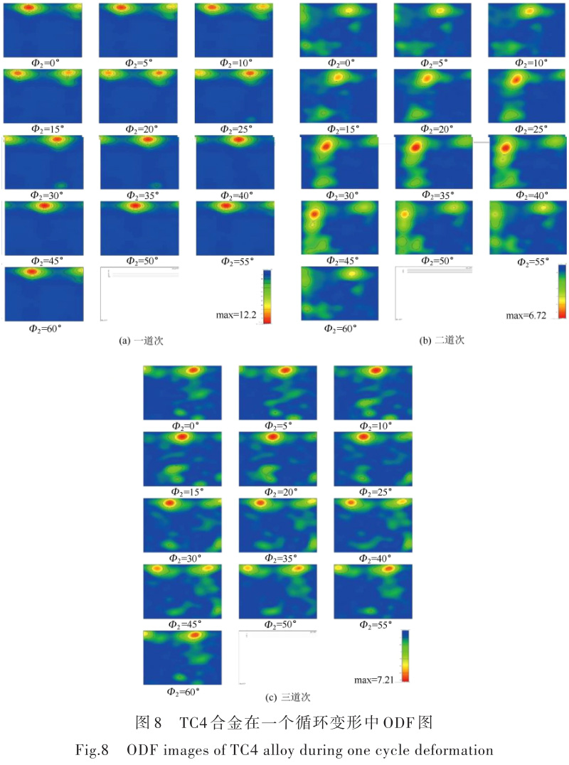 1696505529565803.jpg t8.jpg