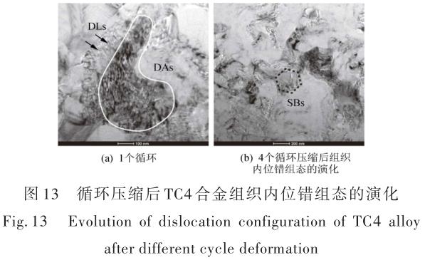 1696505571549757.jpg t13.jpg