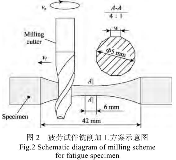 1696907831509190.jpg t2.jpg