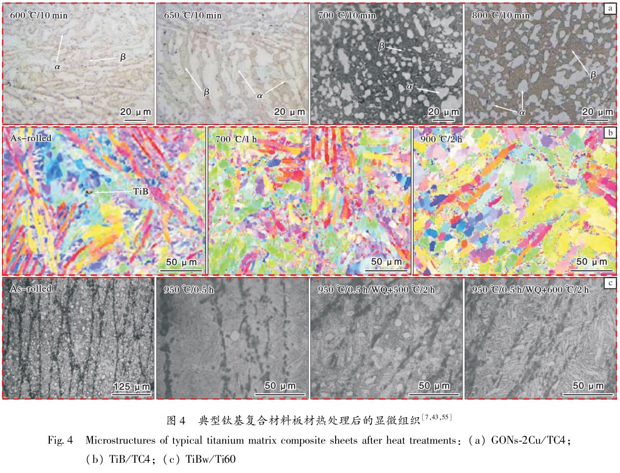 1697038270565463.jpg t4.jpg