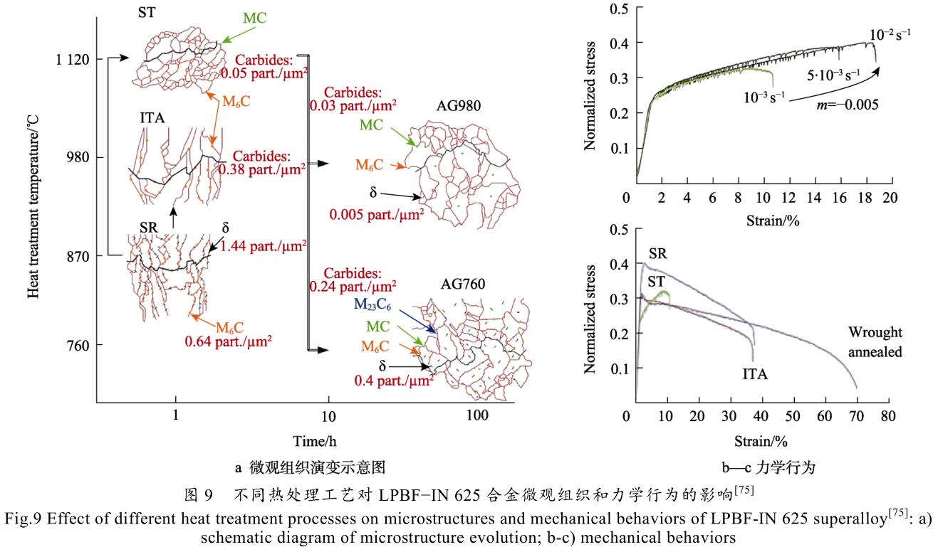 1699483689313606.jpg t9.jpg