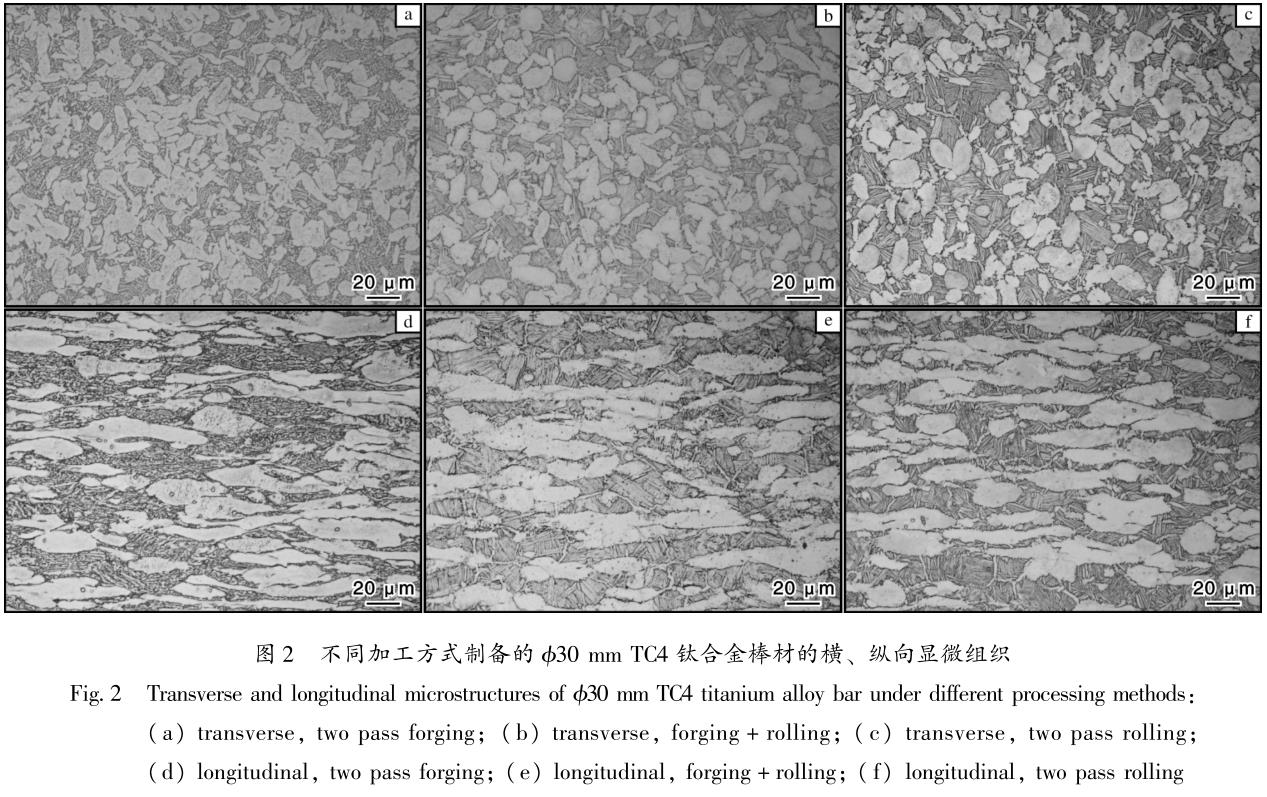 1695714297295476.jpg t2.jpg