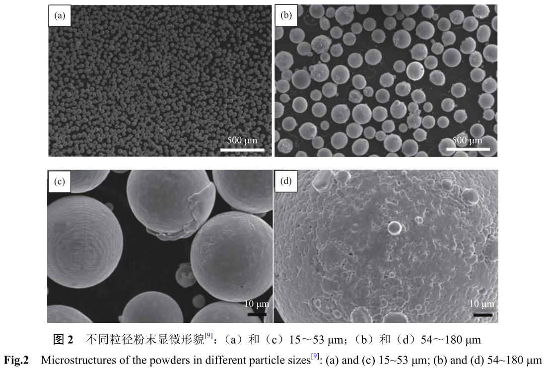 1708140037868229.jpg t2.jpg