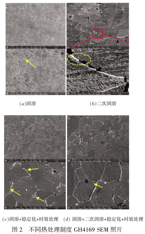 1713409877825111.jpg t2.jpg