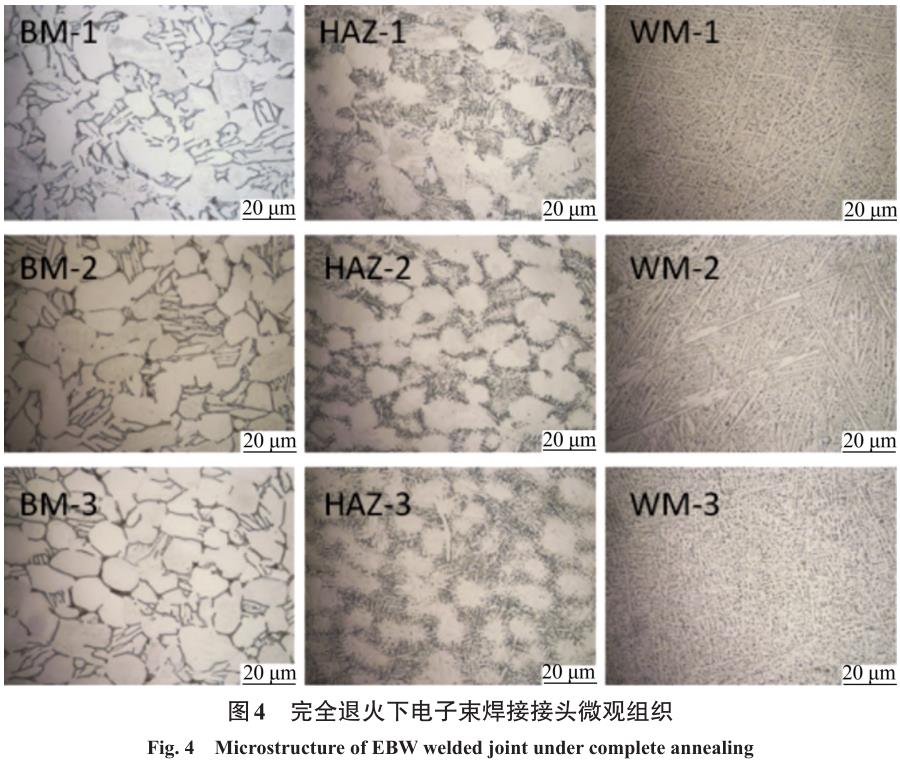 1708346430266066.jpg t4.jpg