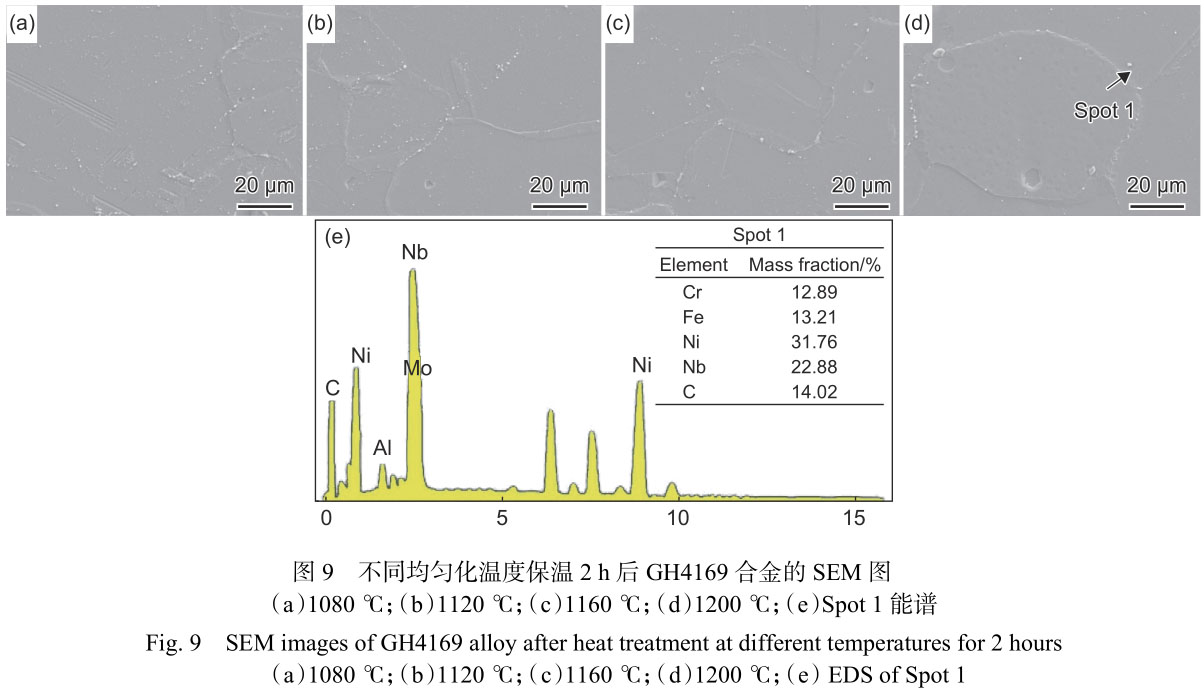1716295762642283.jpg 未標題-5.jpg
