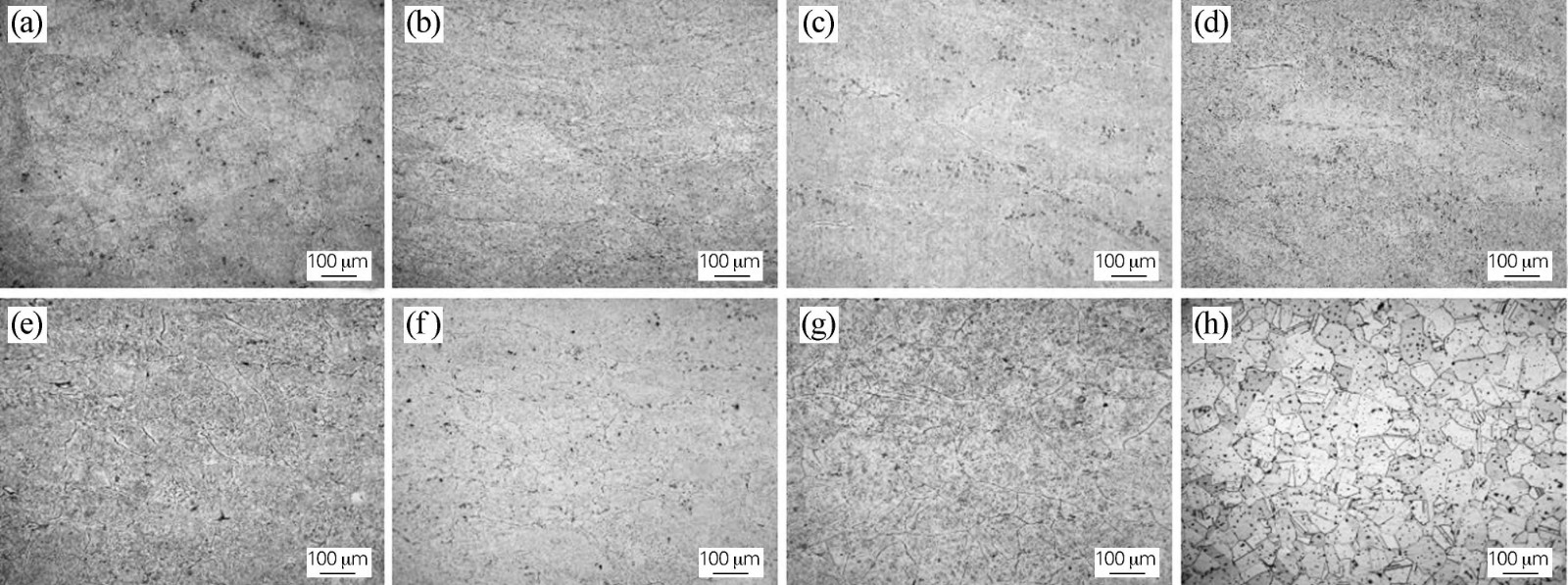 1716341549574193.jpg 8.jpg