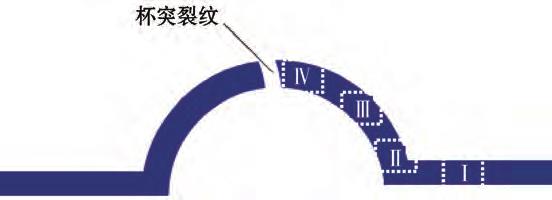 1716372816724345.jpg 10.jpg