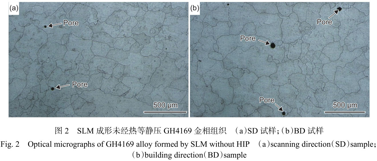 1716520361828732.jpg t2.jpg