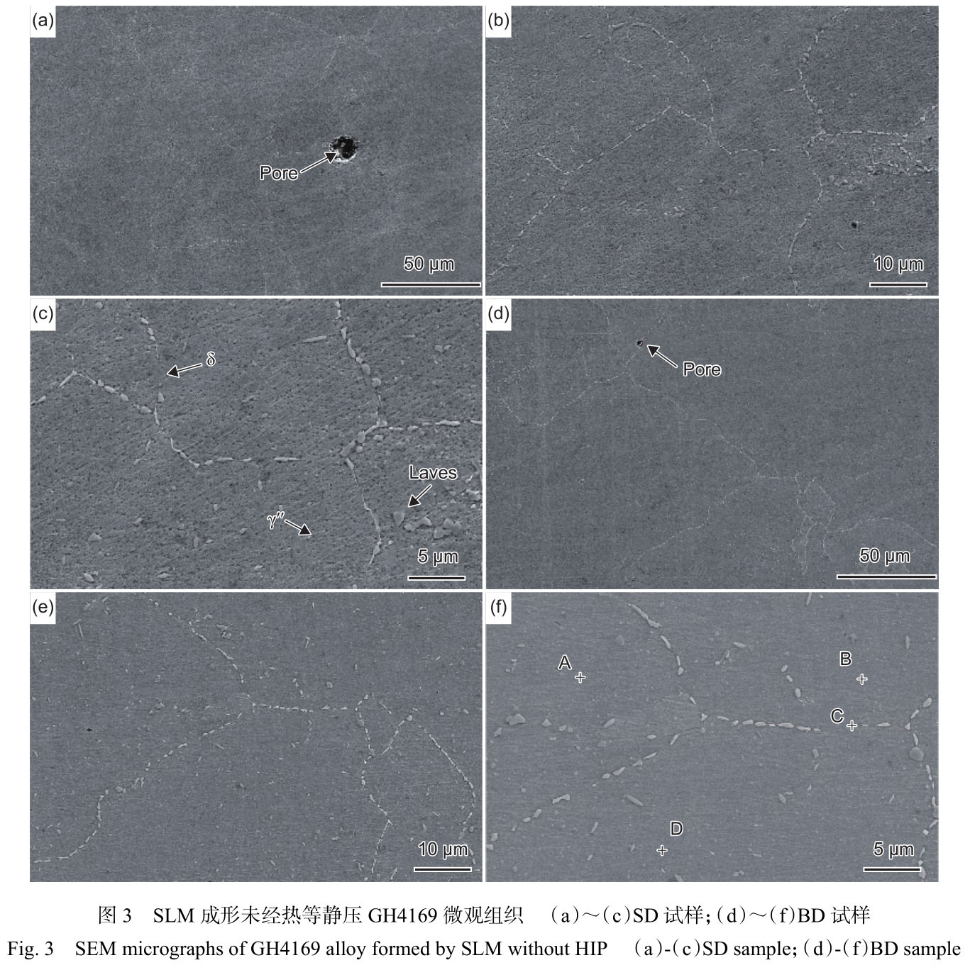 1716520376898130.jpg t3.jpg