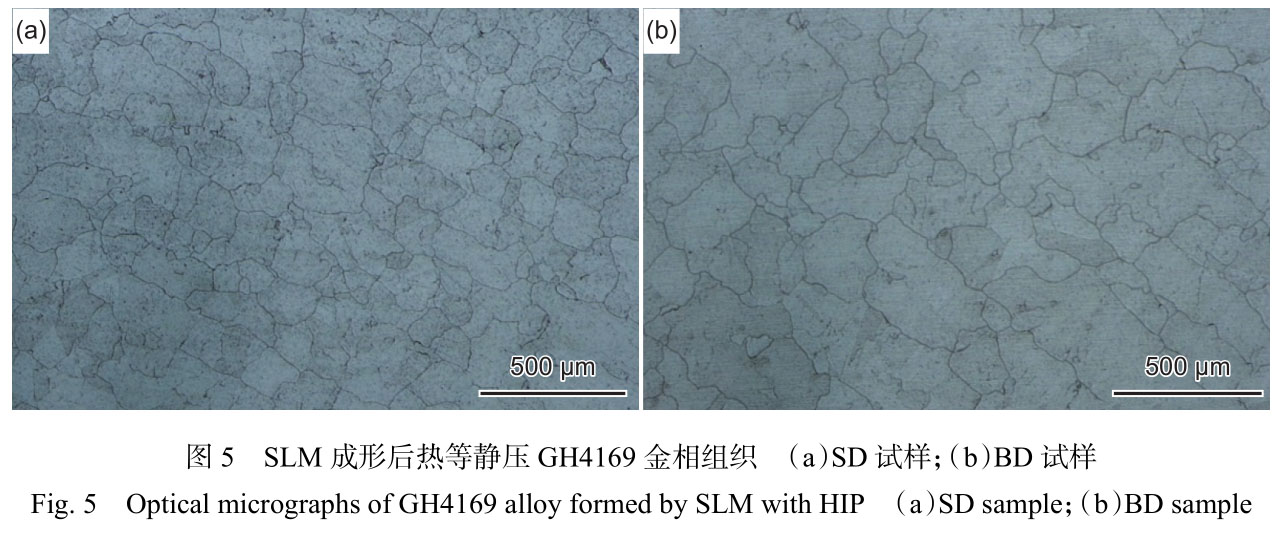 1716520426470716.jpg t5.jpg