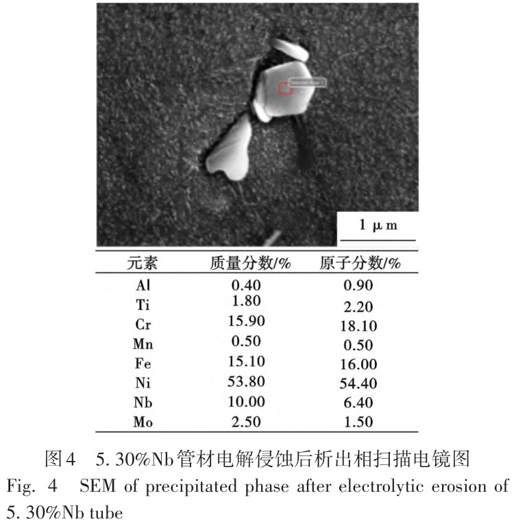 1720772936210749.jpg t4.jpg