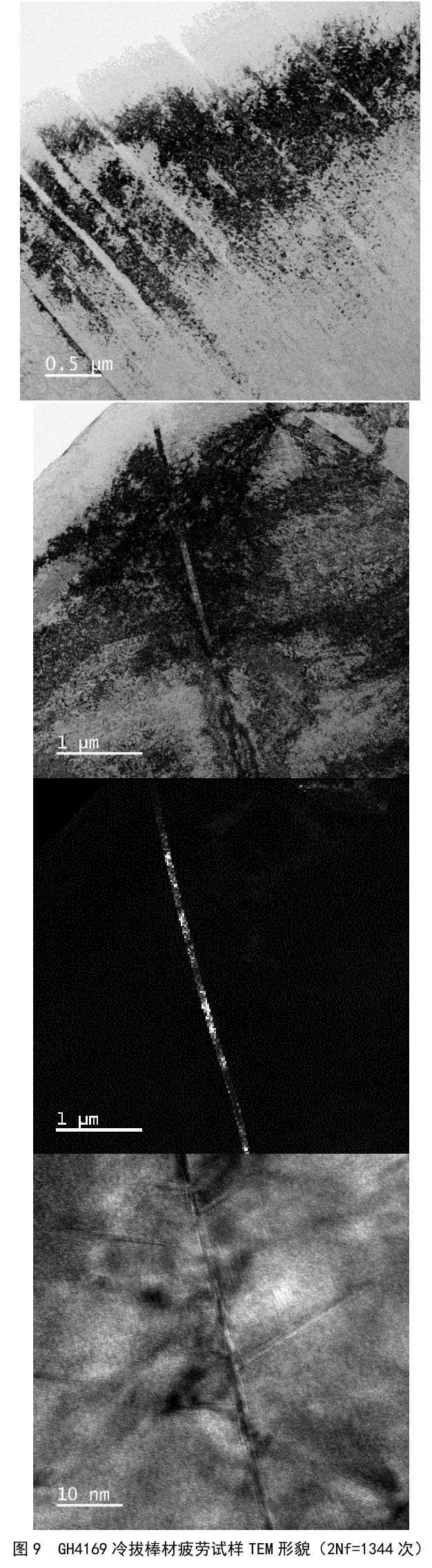 1722675685565693.jpg t9.jpg