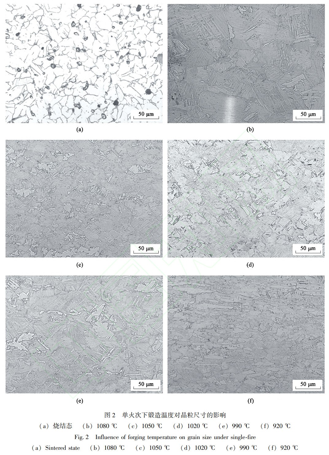 1738832707262459.jpg 2.jpg