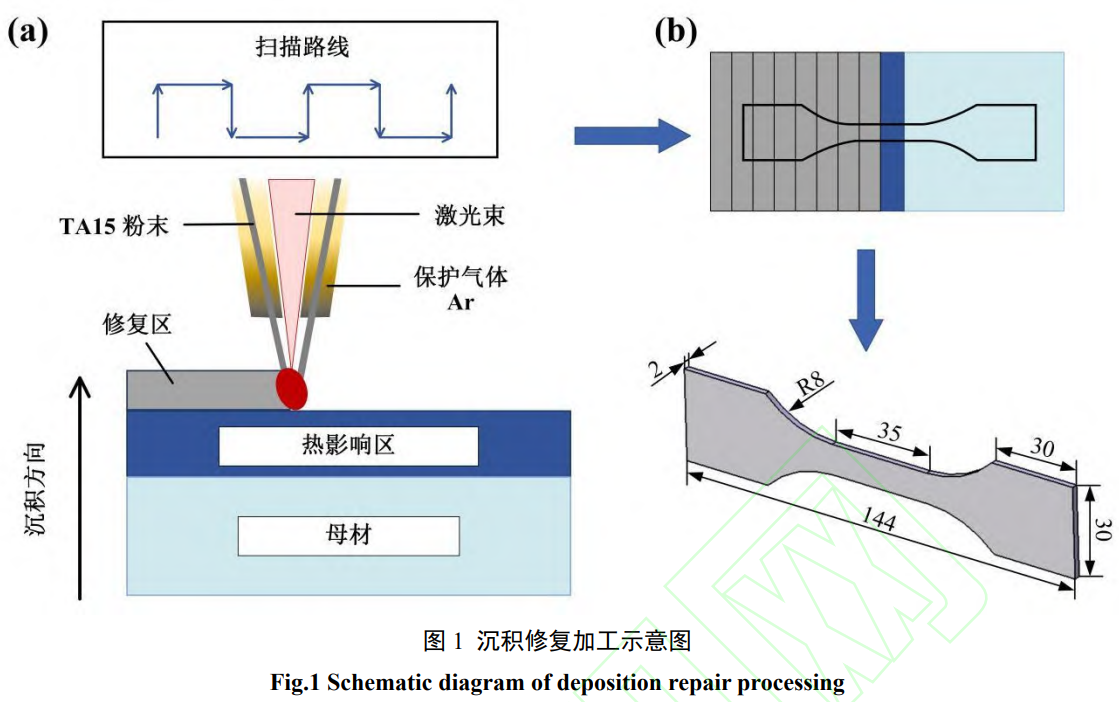 1738931046707119.png 截圖20250207201602.png