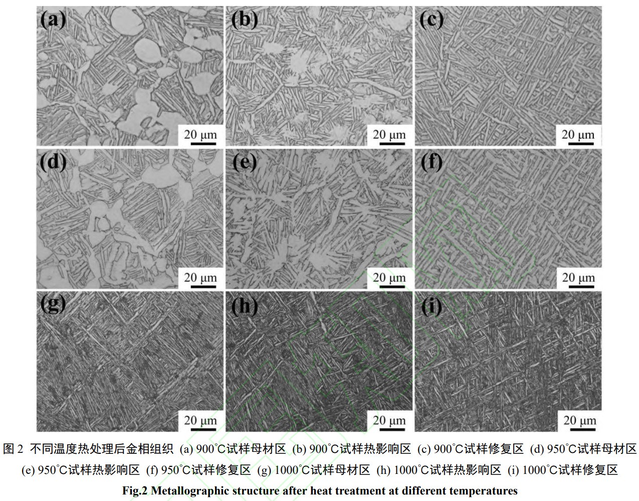 1738931068285160.jpg 2.jpg