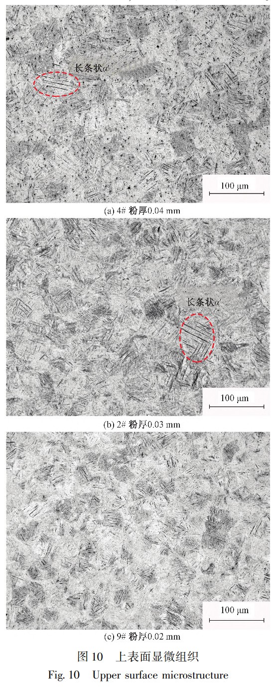 1738937847505023.jpg 10.jpg