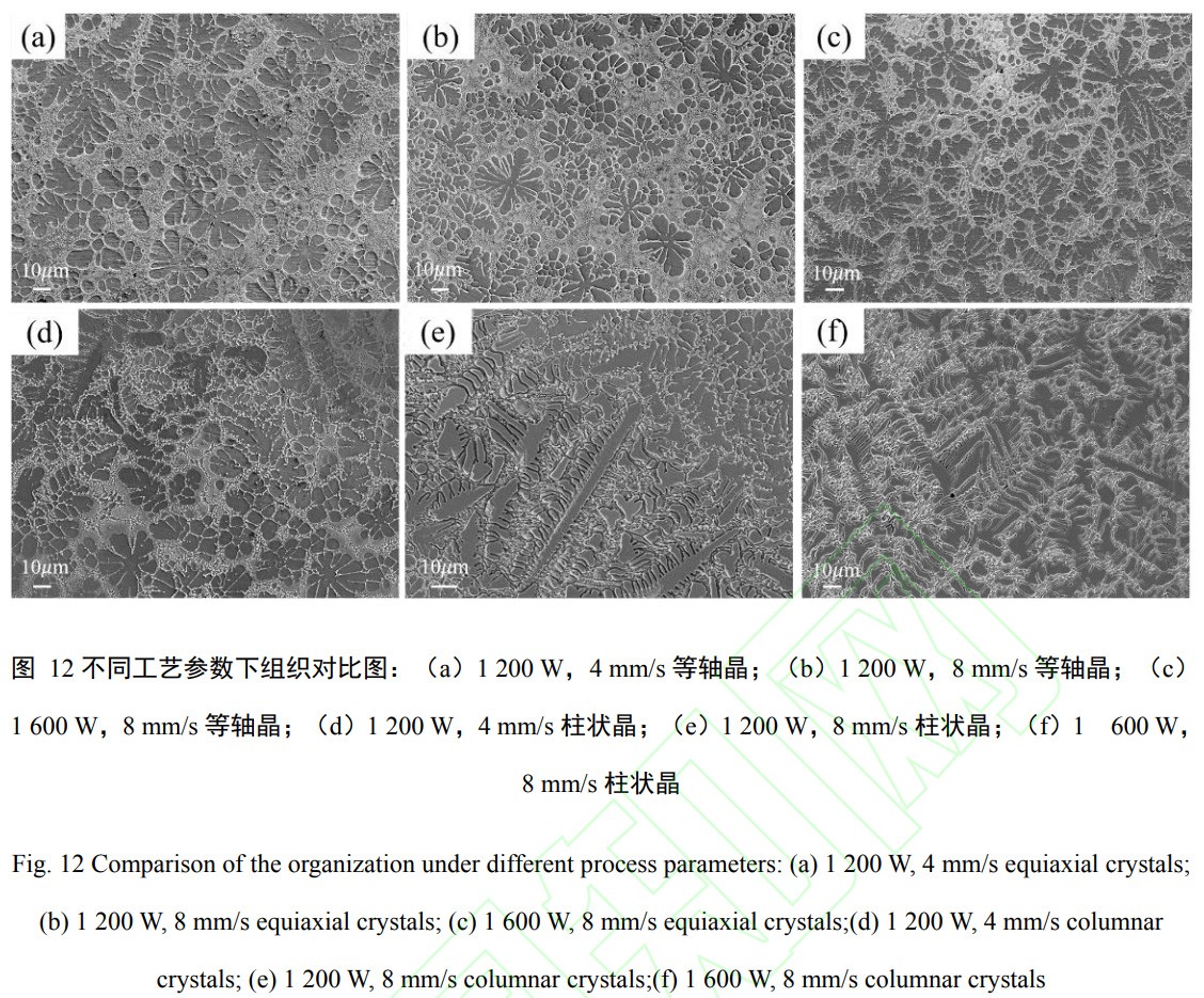 1739076967274053.jpg t12.jpg