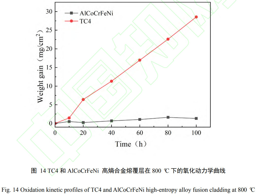 1739076991663529.png t14.png