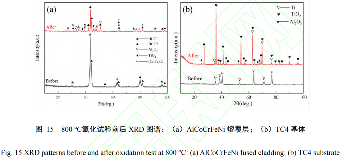 1739077007826087.png t15.png