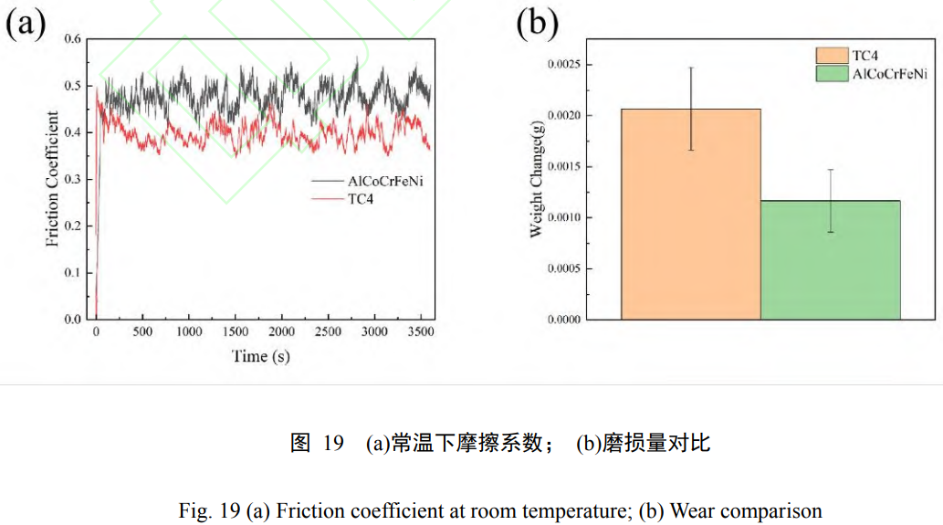 1739077063776071.png t19.png