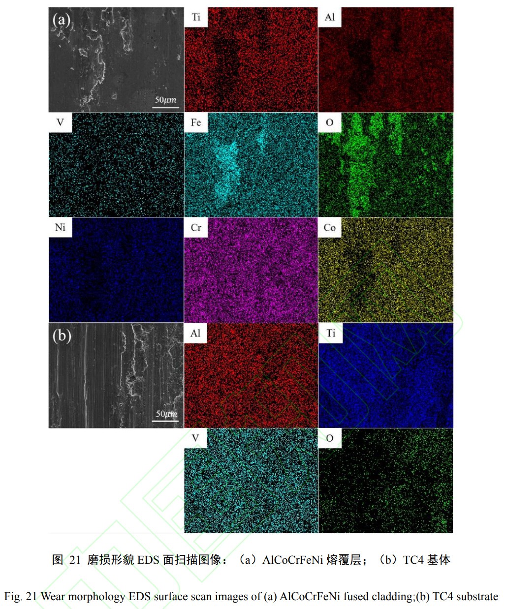 1739077084971974.jpg t21.jpg